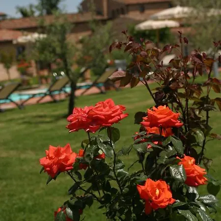 Relais Alla Corte Del Sole Hotel Petrignano Del Lago